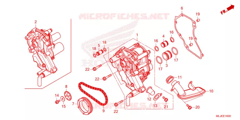 Motore